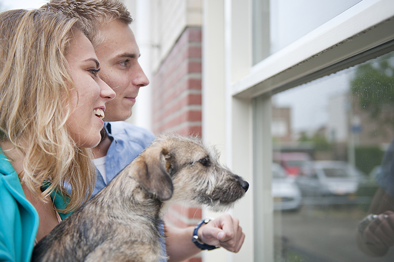 dag van de bouw ingrid joppe fotografie arnhem gelderland